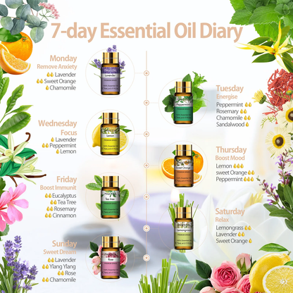 Complete Aromatherapy Oil Collection